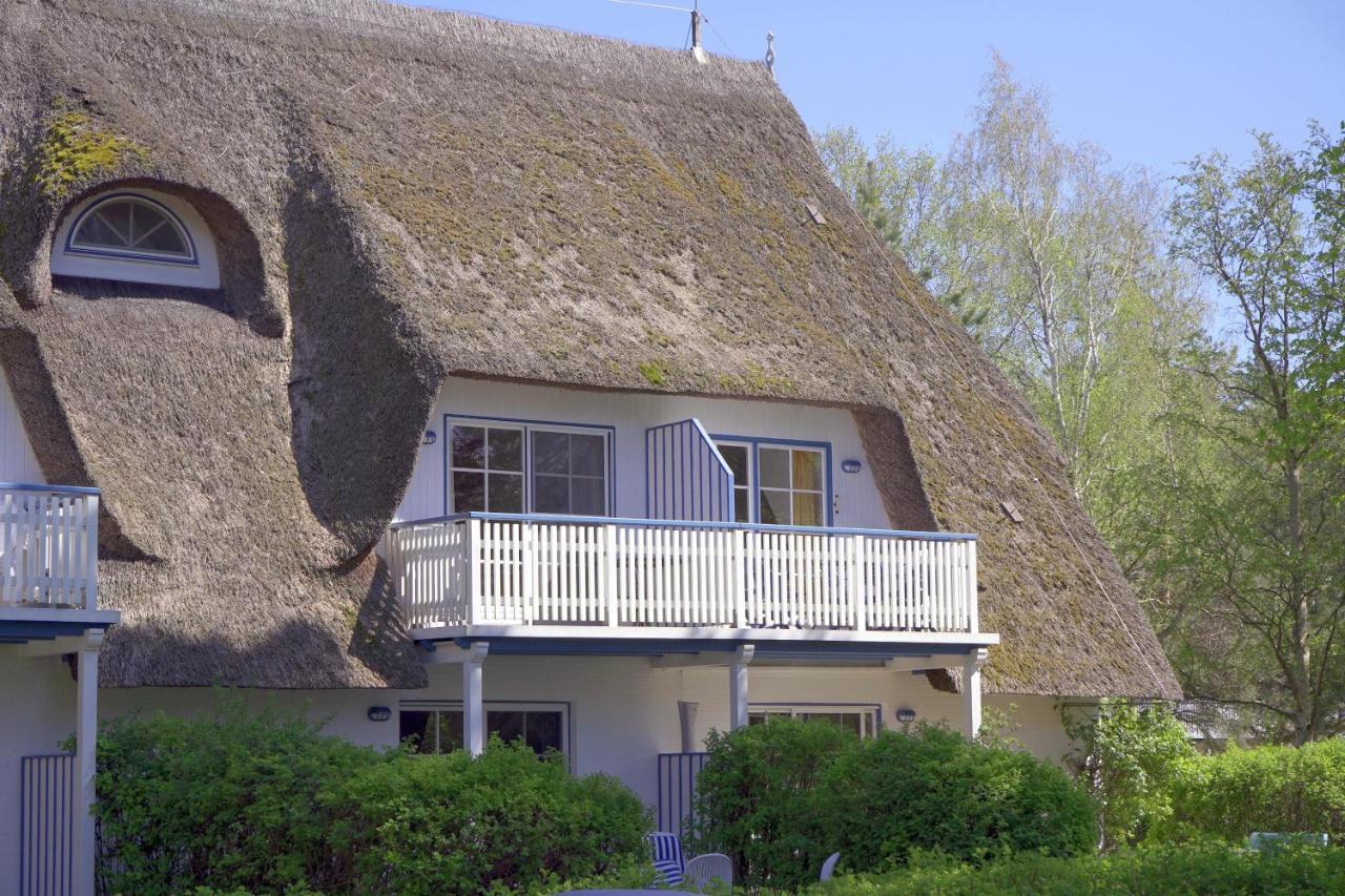 Achtern Diek 8A - Wohnung 5 Zingst Dış mekan fotoğraf